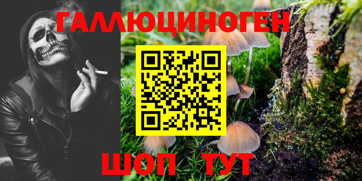 Галлюциногенные грибы Magic Shrooms Южно-Сахалинск
